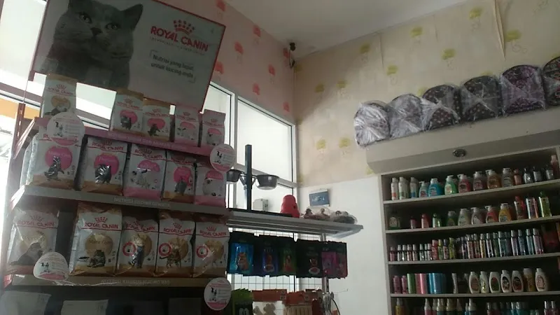 Tiara Pet Shop: Solusi Lengkap untuk Hewan Peliharaan Cilacap